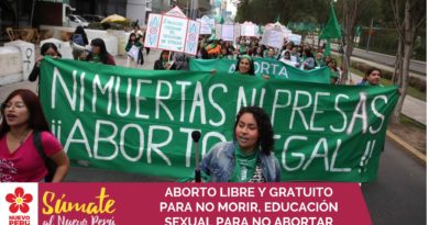 ABORTO LIBRE Y GRATUITO PARA NO MORIR, EDUCACIÓN SEXUAL PARA NO ABORTAR