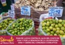 PLAN DE LUCHA CONTRA EL ALZA DEL COSTO DE VIDA Y POR LA RENUNCIA DE LA USURPADORA DINA Y CIERRE DEL CONGRESO CORRUPTO
