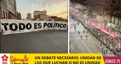 UN DEBATE NECESARIO; UNIDAD DE LOS QUE LUCHAN O NO ES UNIDAD 