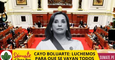 CAYO BOLUARTE: LUCHEMOS PARA QUE SE VAYAN TODOS